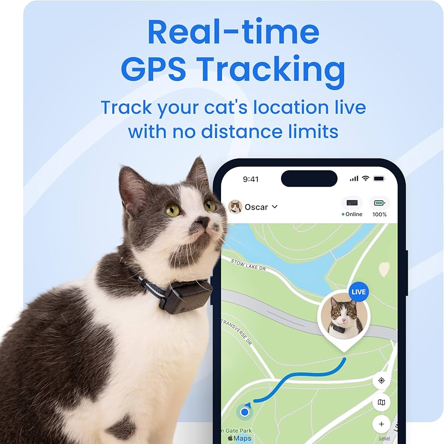 Mini GPS tracker for cats with phone app showing location