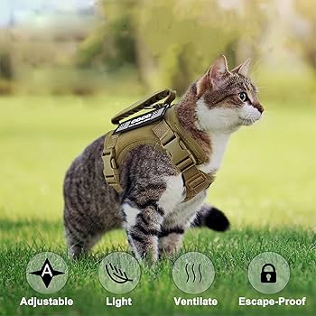 Escape-proof tactical cat harness outdoor adventure vest