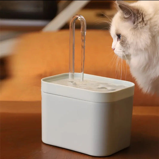 Automatic cat water fountain with filter - cat drinking
