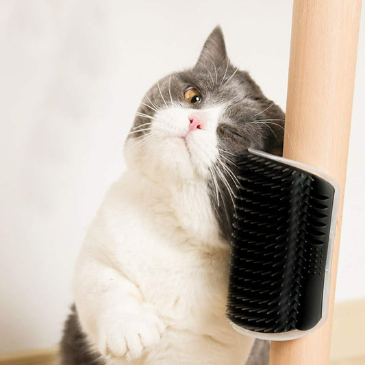 Self-cleaning cat corner grooming brush with catnip